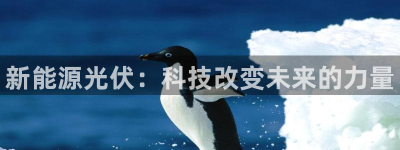 新宝GG股东：新能源光伏：科技改变未来的