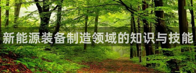 新宝gg刷流水：新能源装备制造领域的知识