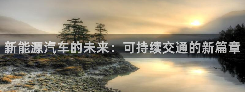 新宝gg注册登录：新能源汽车的未来：可持