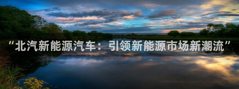 新宝gg主：“北汽新能源汽车：引领新能源