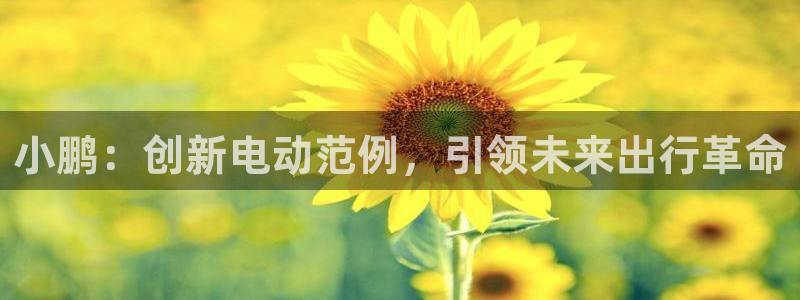 新宝gg dengludizhi：小鹏：