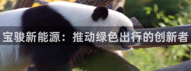 新宝gg龙虎规则:宝骏新能源:推动绿色出行的创新者