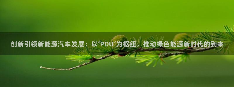 收新宝gg:创新引领新能源汽车发展:以‘PDU’为枢纽,推动