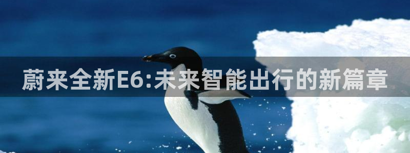 新宝gg代理:蔚来全新E6:未来智能出行的新篇章