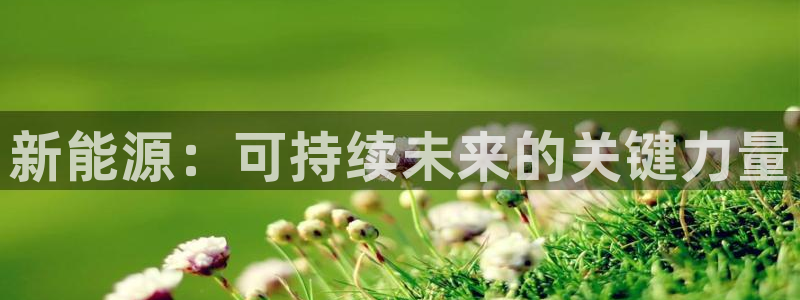 创造奇迹 新宝gg:新能源:可持续未来的关键力量