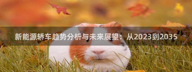 新宝GG跑路:新能源轿车趋势分析与未来展望:从2023到20