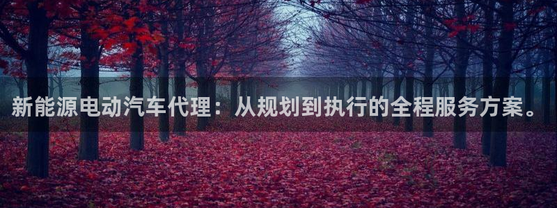 新宝gg助手：新能源电动汽车代理：从规划