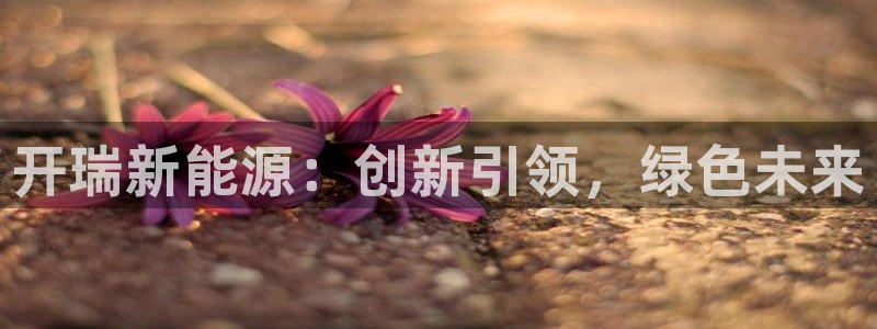 新宝gg娱乐平台：开瑞新能源：创新引领，