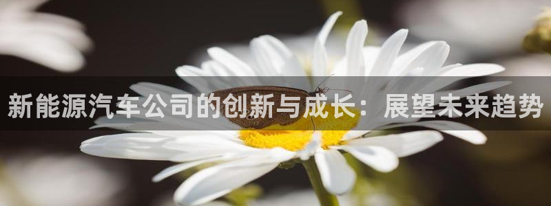 认准新宝gg:新能源汽车公司的创新与成长:展望未来趋势