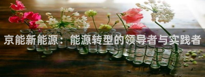 新宝gg直属上级：京能新能源：能源转型的