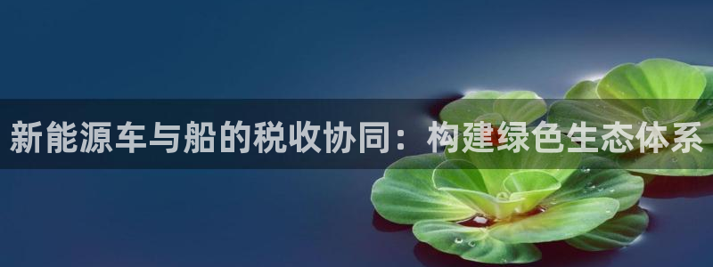 新宝gg 创造:新能源车与船的税收协同:构建绿色生态体系