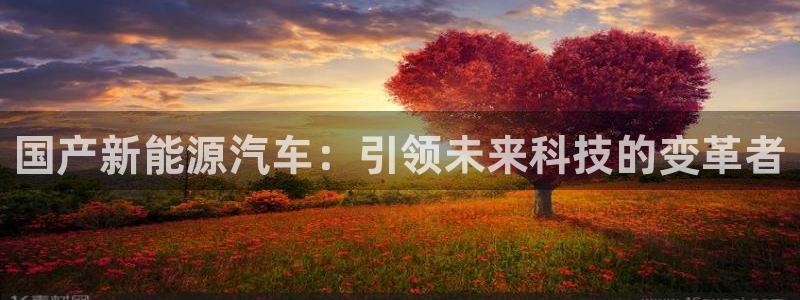 新宝gg 039:国产新能源汽车:引领未来科技的变革者