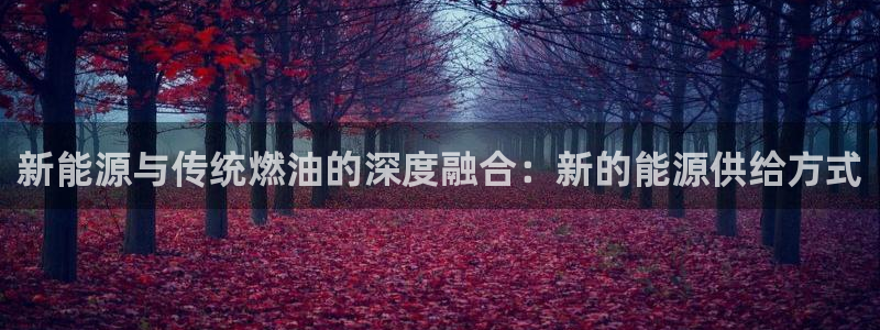 新宝gg运营88383:新能源与传统燃油的深度融合:新的能源