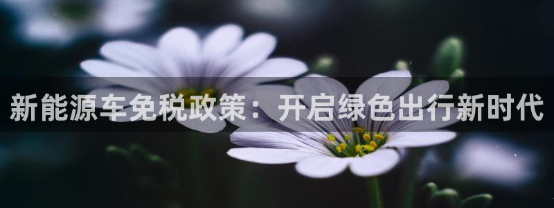 新宝gg平台反水：新能源车免税政策：开启