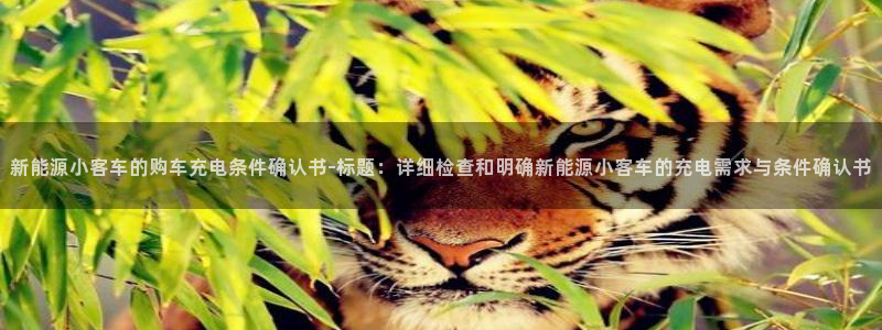 行新宝gg：新能源小客车的购车充电条件确