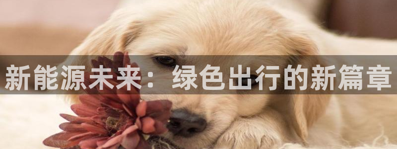 新宝gg玩法：新能源未来：绿色出行的新篇