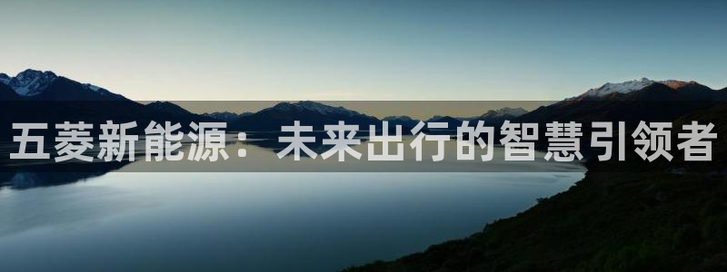新宝gg下载官网下载：五菱新能源：未来出