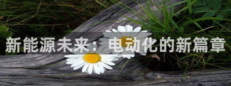 新宝gg登录登:新能源未来:电动化的新篇章