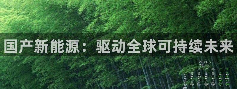 新宝gg高频彩票：国产新能源：驱动全球可