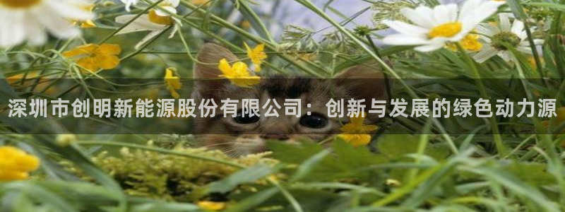 新宝gg主管开：深圳市创明新能源股份有限