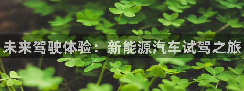 新宝gg下载官网下载：未来驾驶体验：新能