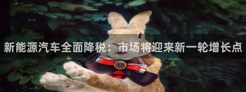 新宝gg娱乐注册：新能源汽车全面降税：市