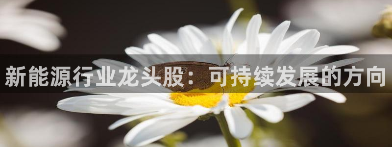 新宝gg注销：新能源行业龙头股：可持续发