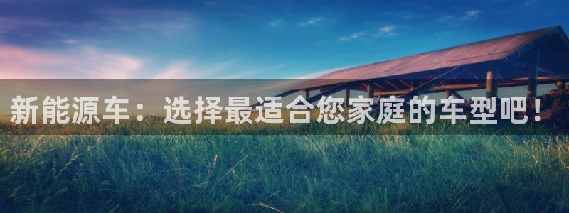 新宝gg建立团队：新能源车：选择最适合您
