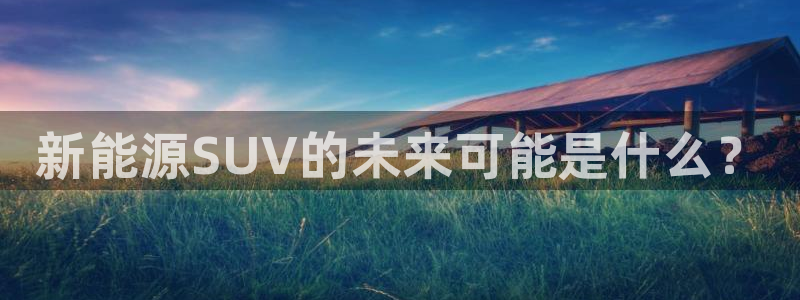 新宝 gg 总代理：新能源SUV的未来可