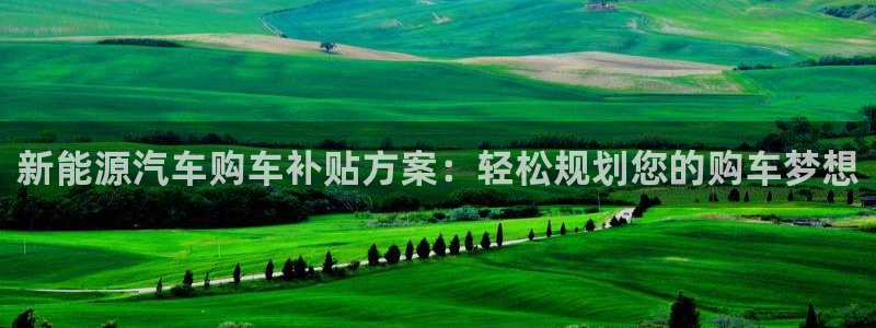 新宝gg—创造：新能源汽车购车补贴方案：