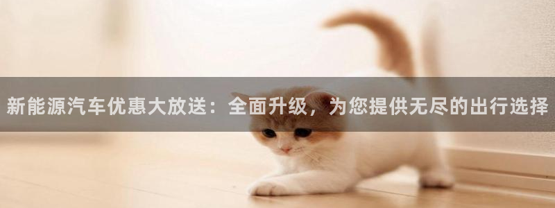 新宝 gg平台：新能源汽车优惠大放送：全