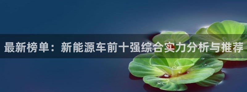 新宝GG耳78778：最新榜单：新能源车