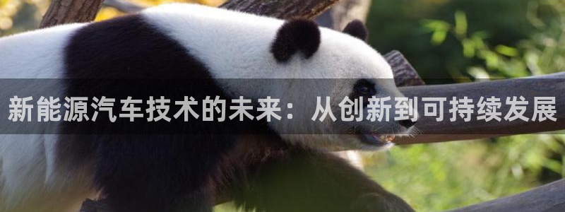 新宝GG专业团队：新能源汽车技术的未来：