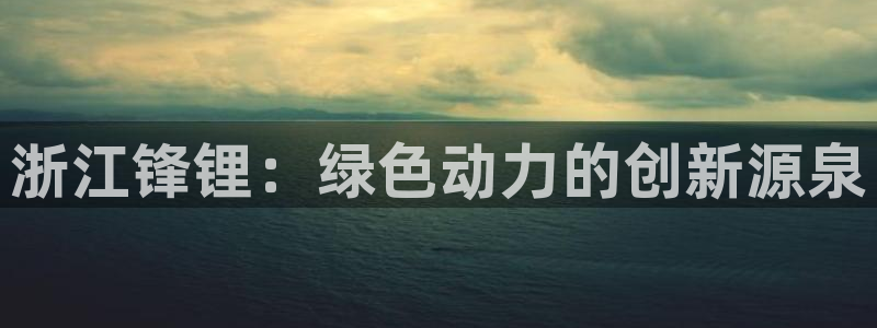 新宝gg游戏：浙江锋锂：绿色动力的创新源