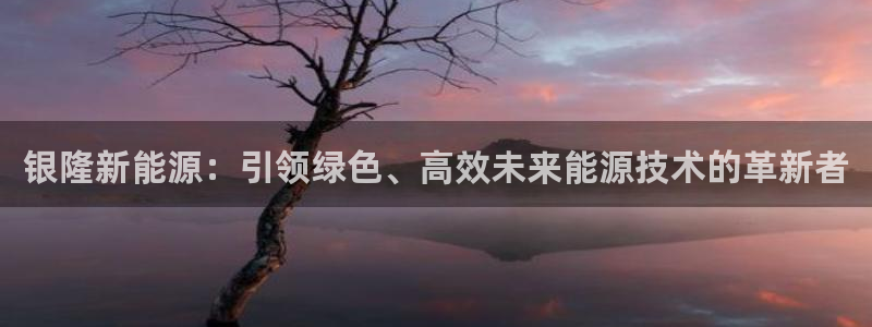 新宝gg 注册：银隆新能源：引领绿色、高