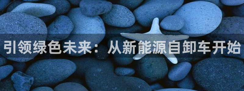 新宝gg怎样：引领绿色未来：从新能源自卸