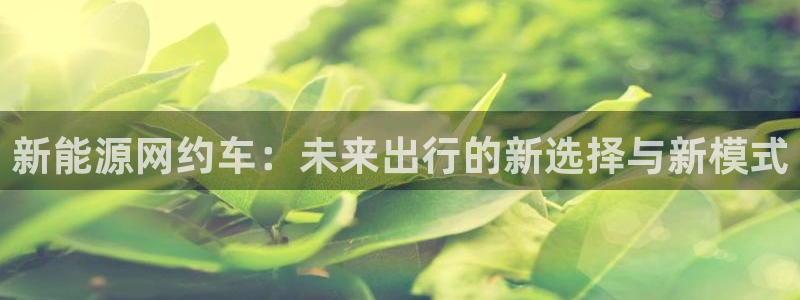新宝gg登录网址：新能源网约车：未来出行